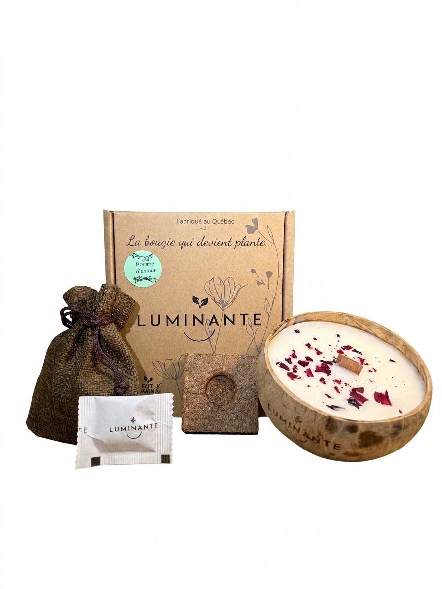 Coconut Candle - Grows into a plant - Candy Apple