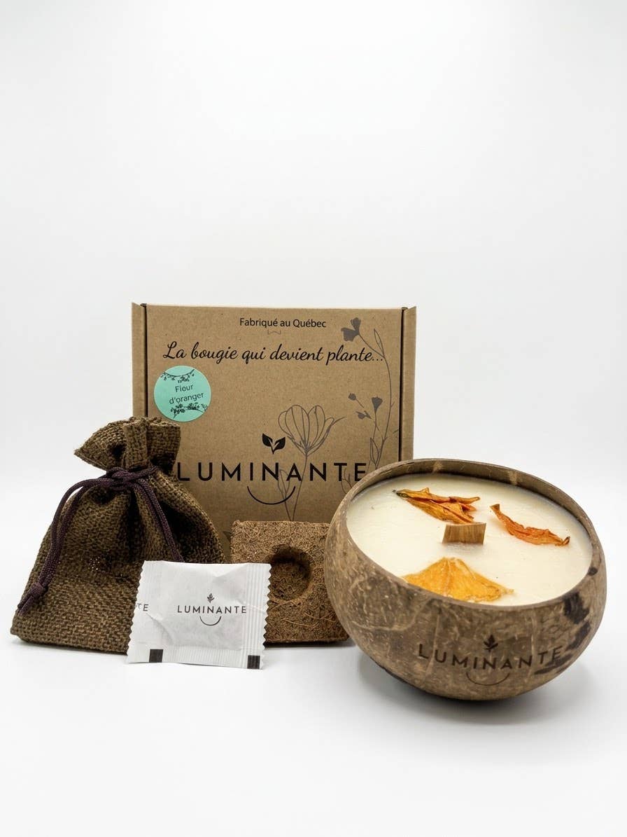 Coconut Candle - Grows into a plant - Orange Blossom