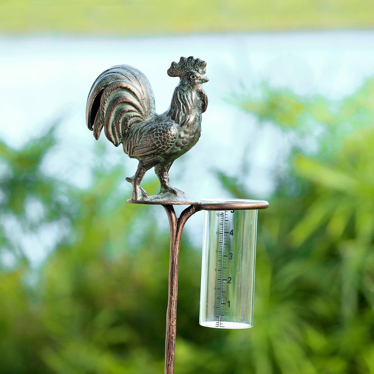 Rooster Rain Watcher Holder