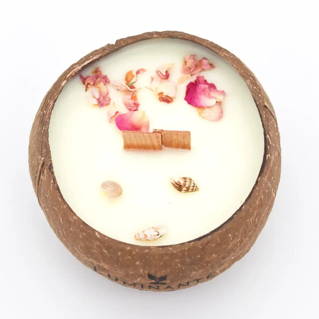 Coconut Candle - Grows into a plant - Island Monoi