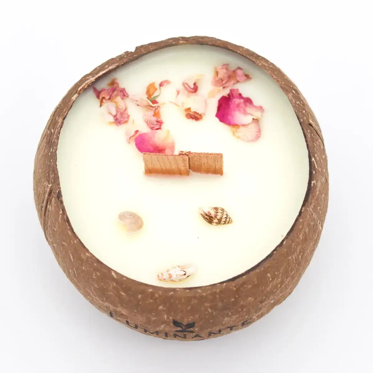 Coconut Candle - Grows into a plant - Island Monoi