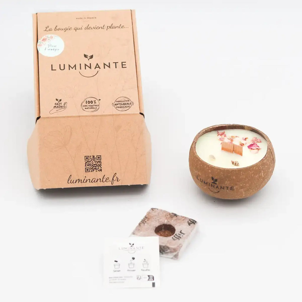 Coconut Candle - Grows into a plant - Island Monoi