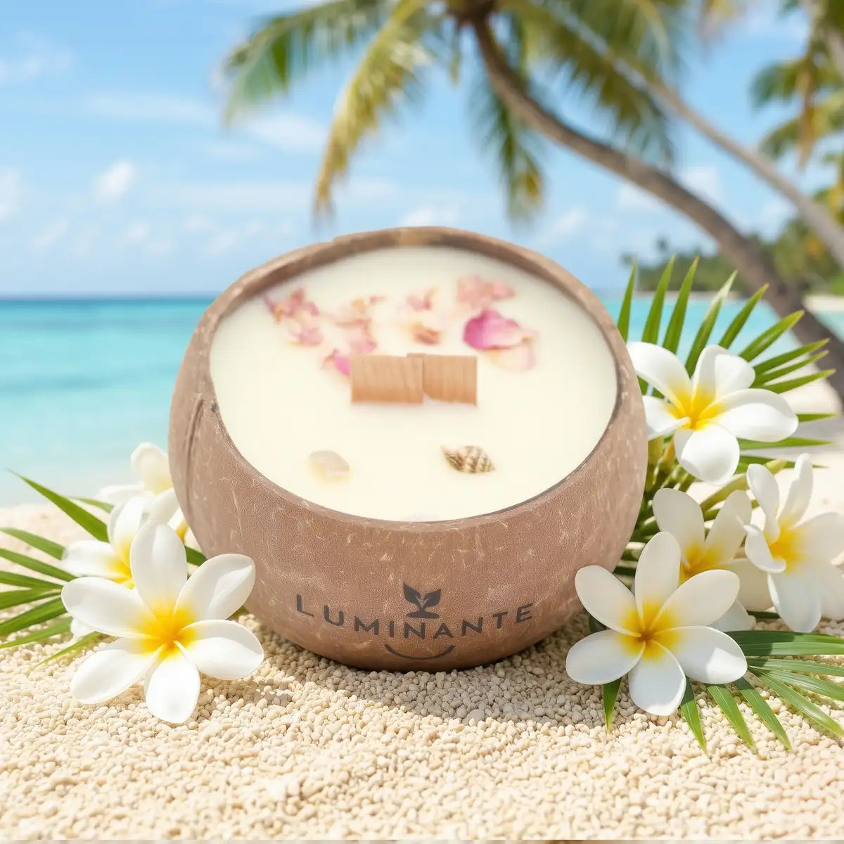 Coconut Candle - Grows into a plant - Island Monoi