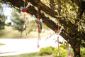 Blossom Birds Wind Chimes (Set of 3) - Copper State Home + Iron