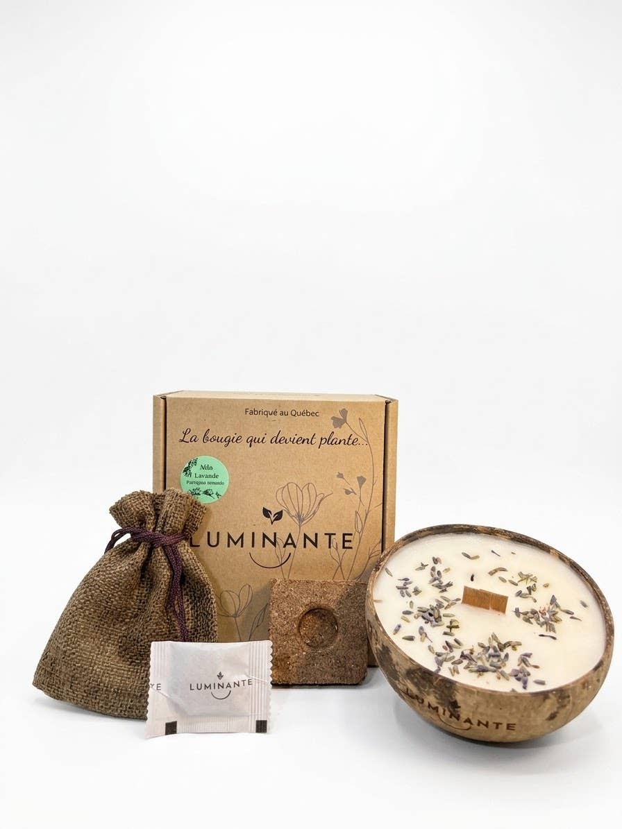 Coconut candle - grows into a plant - lavender