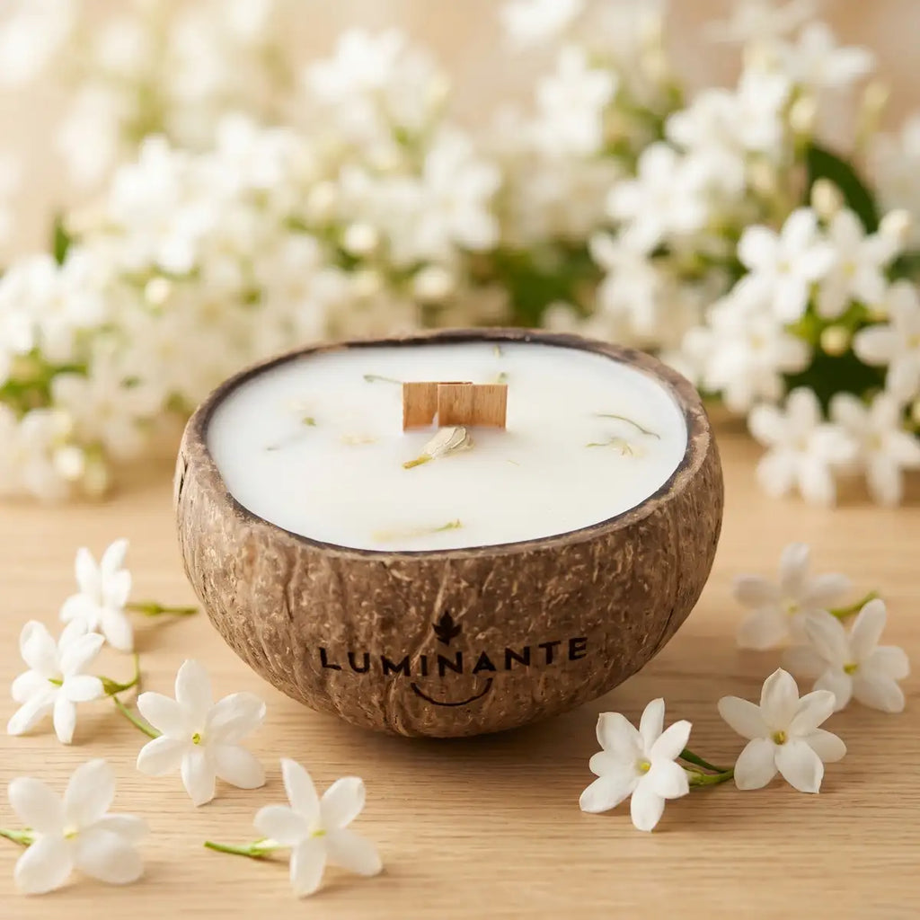 Coconut Candle - Grows into a plant - Jasmine